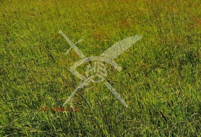 Продава ПАРЦЕЛ, област Пловдив, с. Васил Левски • 35000 € / 68454.05 лв. • 94259762 1 — Holmes.bg Продава ПАРЦЕЛ, област Пловдив, с. Васил Левски • 35000 € / 68454.05 лв. • 94259762 1