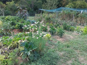 Продава ПАРЦЕЛ | Imot.bg — малка снимка 15