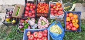 Продава ПАРЦЕЛ | Imot.bg — малка снимка 9