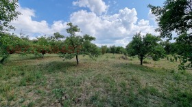 Обява Продава ПАРЦЕЛ,с. Големо Бучино, област Перник