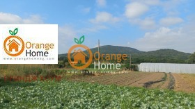 Продава Парцел, с. Оброчище