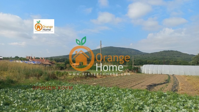Продава ПАРЦЕЛ, област Добрич, с. Оброчище • 23500 € • 78537974 1 — Holmes.bg Продава ПАРЦЕЛ, област Добрич, с. Оброчище • 23500 € • 78537974 1