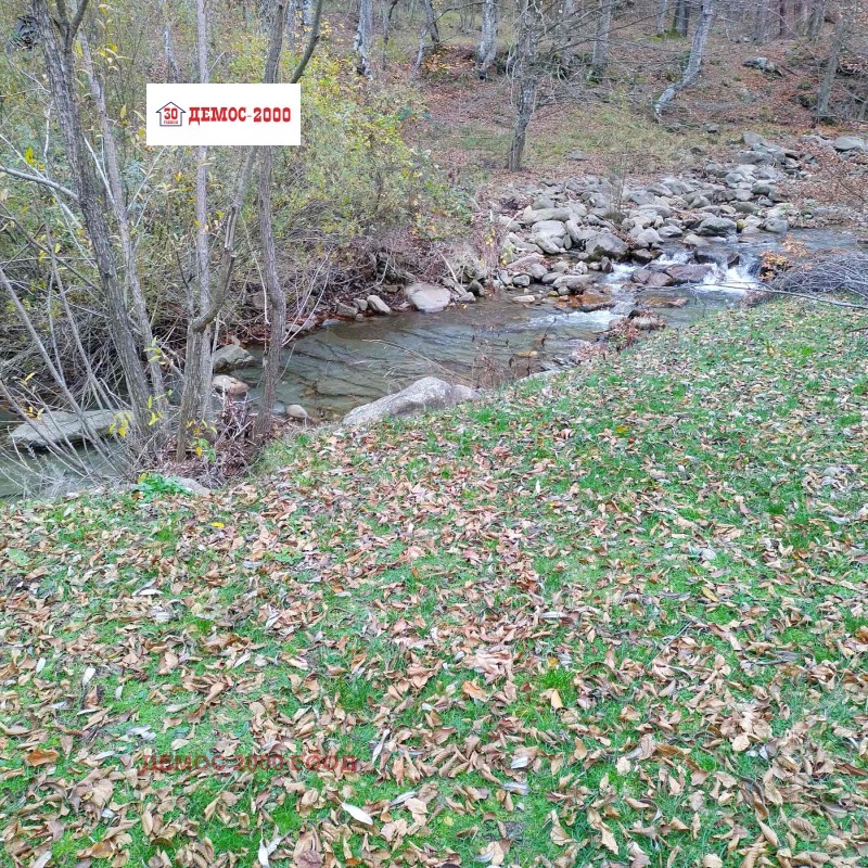 Продава ПАРЦЕЛ, област Велико Търново, гр. Елена • 14000 € / 27381.62 лв. • 65047862 1 — Holmes.bg Продава ПАРЦЕЛ, област Велико Търново, гр. Елена • 14000 € / 27381.62 лв. • 65047862 1