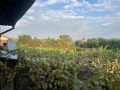 Продава КЪЩА, област Стара Загора, с. Дъбово • 28500 € • 72689284 9 — Holmes.bg Продава КЪЩА, област Стара Загора, с. Дъбово • 28500 € • 72689284 9