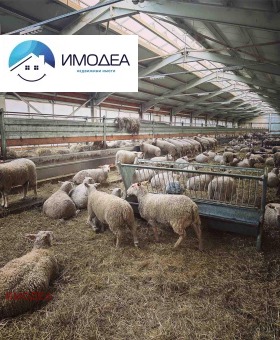 Обява Продава ФЕРМА,гр. Елена, област Велико Търново