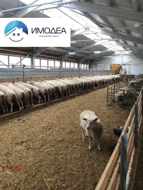 Обява Продава ФЕРМА,гр. Елена, област Велико Търново
