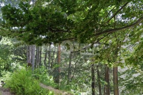 Продава ПАРЦЕЛ | Imot.bg — малка снимка 3