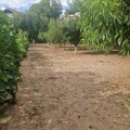 Продава ПАРЦЕЛ, град Русе, Басарбово • 57000 € / 111482.31 лв. • 92207010 1 — Holmes.bg Продава ПАРЦЕЛ, град Русе, Басарбово • 57000 € / 111482.31 лв. • 92207010 1