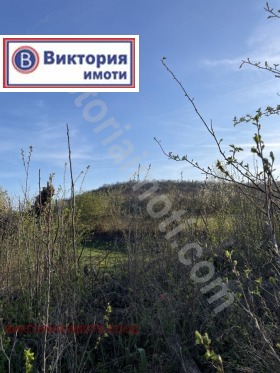 Продажба на парцели в област Велико Търново - изображение 8 