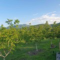 Продава Земеделска земя област Пловдив , с. Горнослав , 40 дка | 48577111 — Imoti.com Продава Земеделска земя област Пловдив , с. Горнослав , 40 дка | 48577111
