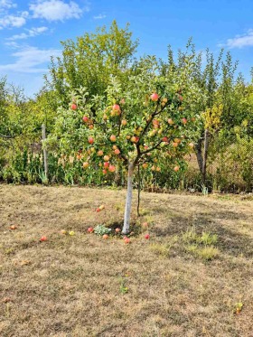 Обява Продава ВИЛА,град Плевен, м-т Кожухарска чешма