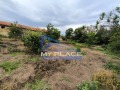 Продава Парцел област Шумен , с. Панайот Волово , 720 кв.м | 90243200 — Imoti.com Продава Парцел област Шумен , с. Панайот Волово , 720 кв.м | 90243200
