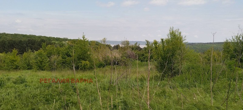 Продава ПАРЦЕЛ, град Варна, с. Звездица • 179000 € / 350093.57 лв. • 55043990 1 — Holmes.bg Продава ПАРЦЕЛ, град Варна, с. Звездица • 179000 € / 350093.57 лв. • 55043990 1