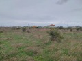 Продава ПАРЦЕЛ, област Добрич, с. Топола • 10000 € • 41162212 1 — Holmes.bg Продава ПАРЦЕЛ, област Добрич, с. Топола • 10000 € • 41162212 1
