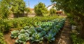 Продава КЪЩА, област Пловдив, с. Тополово • 89990 € / 176005.14 лв. • 39150007 14 — Holmes.bg Продава КЪЩА, област Пловдив, с. Тополово • 89990 € / 176005.14 лв. • 39150007 14
