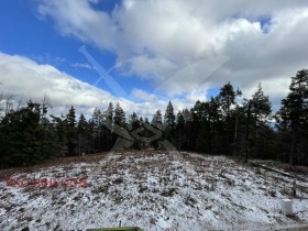 ПАРЦЕЛ, 2 878 m2 - Holmes.bg ПАРЦЕЛ, 2 878 m2