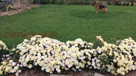 Снимка Продава ПАРЦЕЛ