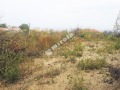 Продава Парцел град Варна , м-т Планова , 1209 кв.м | 89580658 — Imoti.com Продава Парцел град Варна , м-т Планова , 1209 кв.м | 89580658