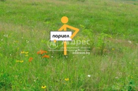 Продажба на земеделски земи в област София - изображение 6 