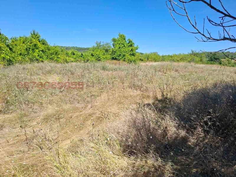 Продава ПАРЦЕЛ, област Велико Търново, с. Церова кория • 40000 € • 28244139 1 — Holmes.bg Продава ПАРЦЕЛ, област Велико Търново, с. Церова кория • 40000 € • 28244139 1