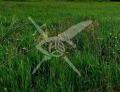 Продава Парцел област Пловдив , гр. Куклен , 2000 кв.м | 49894868 — Imoti.com Продава Парцел област Пловдив , гр. Куклен , 2000 кв.м | 49894868