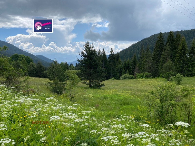 Продава ПАРЦЕЛ, област Пазарджик, с. Фотиново • 110000 € / 215141.30 лв. • 81234209 1 — Holmes.bg Продава ПАРЦЕЛ, област Пазарджик, с. Фотиново • 110000 € / 215141.30 лв. • 81234209 1