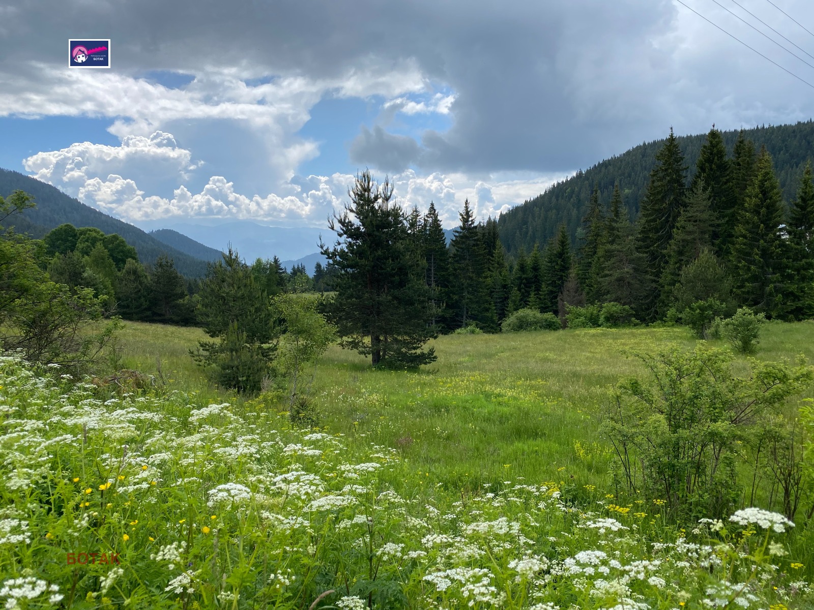 Продава Парцел област Пазарджик , с. Фотиново , 4500 кв.м | 87294867 — Imoti.com Продава Парцел област Пазарджик , с. Фотиново , 4500 кв.м | 87294867