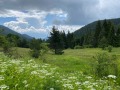 Продава Парцел област Пазарджик , с. Фотиново , 4500 кв.м | 87294867 — Imoti.com Продава Парцел област Пазарджик , с. Фотиново , 4500 кв.м | 87294867