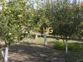 Продава КЪЩА, област Варна, с. Долище • 370000 € • 15776041 6 — Holmes.bg Продава КЪЩА, област Варна, с. Долище • 370000 € • 15776041 6