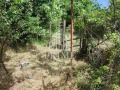 Продава ПАРЦЕЛ, град Варна, м-т Боровец - юг • 72600 € / 141993.26 лв. • 94710995 8 — Holmes.bg Продава ПАРЦЕЛ, град Варна, м-т Боровец - юг • 72600 € / 141993.26 лв. • 94710995 8