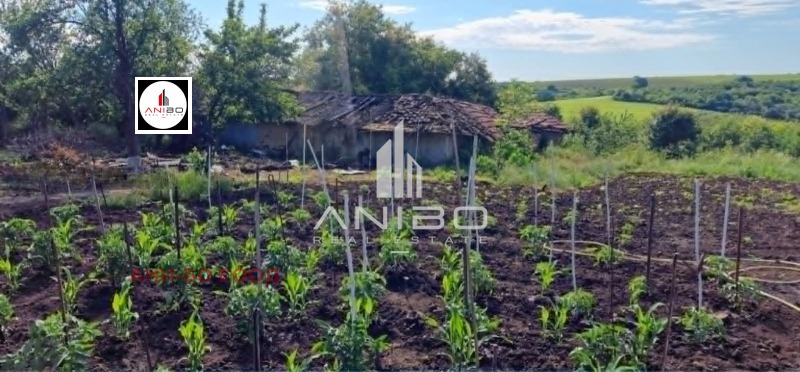 Продава КЪЩА, област Добрич, с. Пчелник • 30000 € • 63307592 1 — Holmes.bg Продава КЪЩА, област Добрич, с. Пчелник • 30000 € • 63307592 1