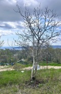 Продава ПАРЦЕЛ, град Варна, Изгрев • 118000 € • 82717102 2 — Holmes.bg Продава ПАРЦЕЛ, град Варна, Изгрев • 118000 € • 82717102 2