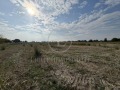 Продава Парцел град Пловдив , Прослав , 8783 кв.м | 50359486 — Imoti.com Продава Парцел град Пловдив , Прослав , 8783 кв.м | 50359486
