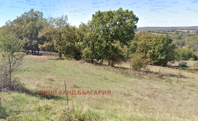 Продава Парцел област Бургас , с. Крушевец , 5000 кв.м | 12851555 — Imoti.com Продава Парцел област Бургас , с. Крушевец , 5000 кв.м | 12851555