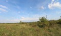 Продава ПАРЦЕЛ, област Велико Търново, с. Арбанаси • 99470 € • 61011246 10 — Holmes.bg Продава ПАРЦЕЛ, област Велико Търново, с. Арбанаси • 99470 € • 61011246 10