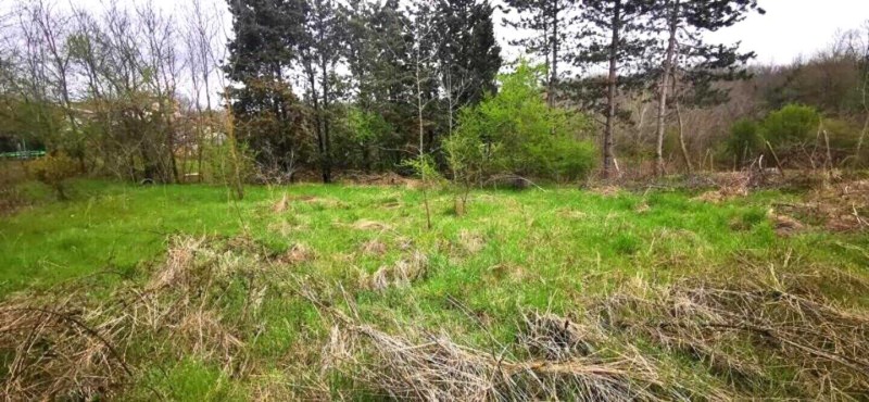 Продава ПАРЦЕЛ, област Бургас, с. Велика • 32500 € • 46591921 1 — Holmes.bg Продава ПАРЦЕЛ, област Бургас, с. Велика • 32500 € • 46591921 1