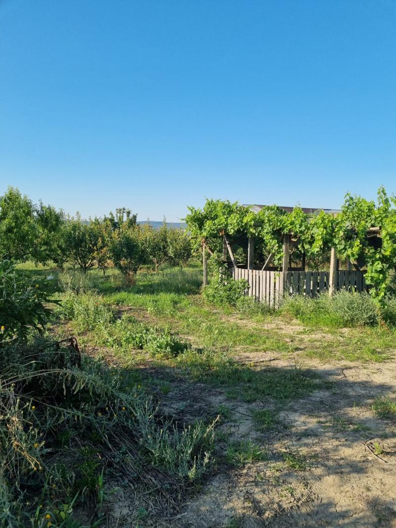 Продава  Земеделска земя област Варна , с. Езерово , 17 дка | 70713311 - изображение [3]