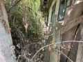 Продава КЪЩА, област Велико Търново, с. Миндя • 15000 € • 39082252 3 — Holmes.bg Продава КЪЩА, област Велико Търново, с. Миндя • 15000 € • 39082252 3