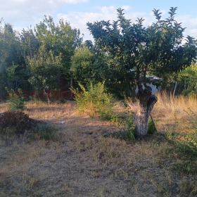 Обява Продава ПАРЦЕЛ,с. Езерово, област Варна