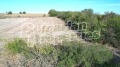 Продава КЪЩА, област Варна, с. Караманите • 19000 € • 91581792 12 — Holmes.bg Продава КЪЩА, област Варна, с. Караманите • 19000 € • 91581792 12