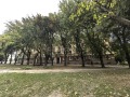 Продава 1-СТАЕН, град Варна, Чаталджа • 82900 € • 50471211 10 — Holmes.bg Продава 1-СТАЕН, град Варна, Чаталджа • 82900 € • 50471211 10