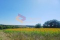 Продава ПАРЦЕЛ, област Варна, с. Изгрев • 37000 € • 50762568 1 — Holmes.bg Продава ПАРЦЕЛ, област Варна, с. Изгрев • 37000 € • 50762568 1