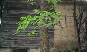 Продава КЪЩА | Imot.bg — малка снимка 7
