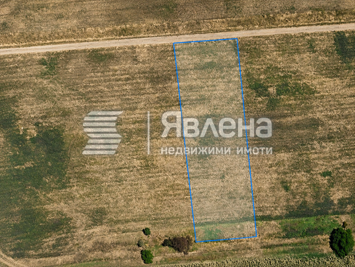 Продава Парцел област Пловдив , с. Радиново , 3200 кв.м | 71434876 — Imoti.com Продава Парцел област Пловдив , с. Радиново , 3200 кв.м | 71434876