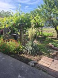 Продава КЪЩА, област Разград, с. Свещари • 50000 € / 97791.50 лв. • 38799576 4 — Holmes.bg Продава КЪЩА, област Разград, с. Свещари • 50000 € / 97791.50 лв. • 38799576 4