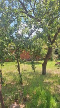 Продава КЪЩА, област Разград, с. Свещари • 50000 € / 97791.50 лв. • 38799576 14 — Holmes.bg Продава КЪЩА, област Разград, с. Свещари • 50000 € / 97791.50 лв. • 38799576 14