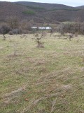 Продава Парцел област Стара Загора , с. Лясково , 1643 кв.м | 54635775 — Imoti.com Продава Парцел област Стара Загора , с. Лясково , 1643 кв.м | 54635775