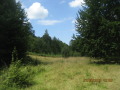 Продава Парцел област Ловеч , гр. Априлци , 10 кв.м | 43199191 — Imoti.com Продава Парцел област Ловеч , гр. Априлци , 10 кв.м | 43199191