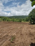 Продава ПАРЦЕЛ, област Варна, с. Слънчево • 43990 € • 11069064 7 — Holmes.bg Продава ПАРЦЕЛ, област Варна, с. Слънчево • 43990 € • 11069064 7