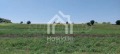 Продава ПАРЦЕЛ, Гърция, Халкидики • 400000 € / 782332.00 лв. • 23375139 8 — Holmes.bg Продава ПАРЦЕЛ, Гърция, Халкидики • 400000 € / 782332.00 лв. • 23375139 8